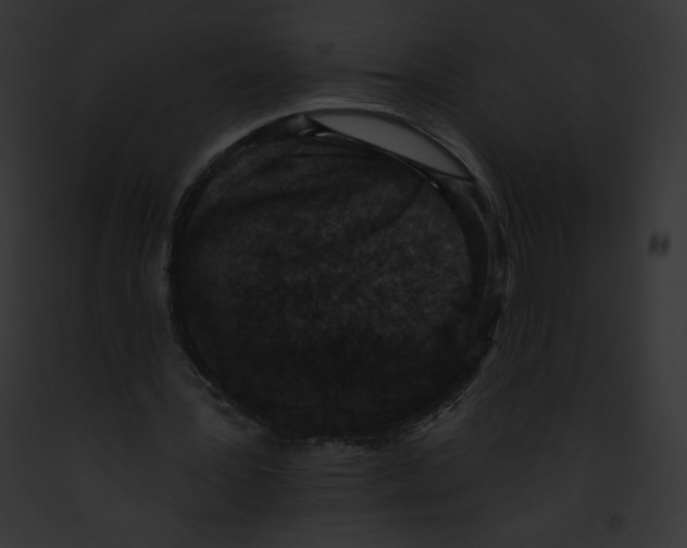 X0000091850387200710031024