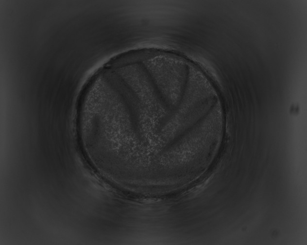 X0000091850388200710031024