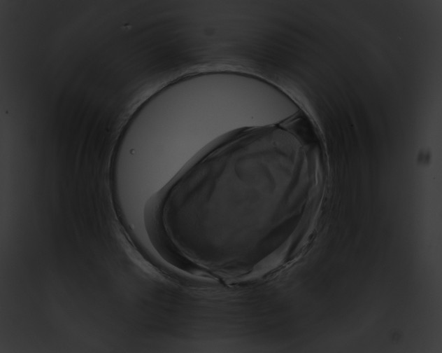 X0000091850389200710031024