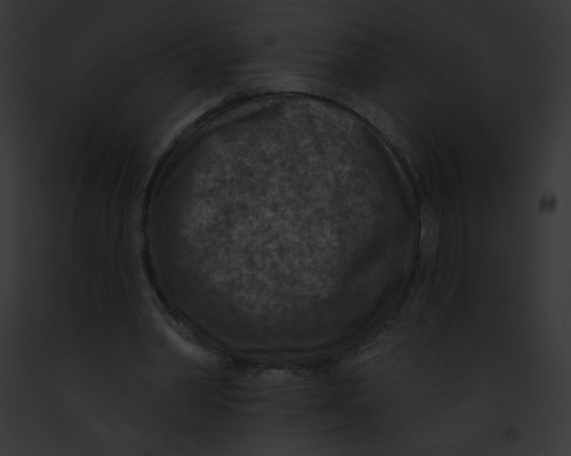 X0000091850390200710031024