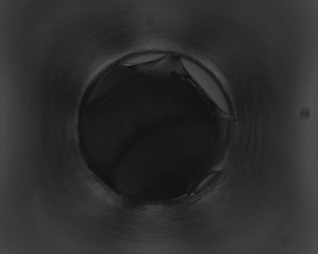 X0000091850391200710031024