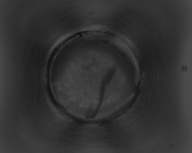 X0000091850392200710031024