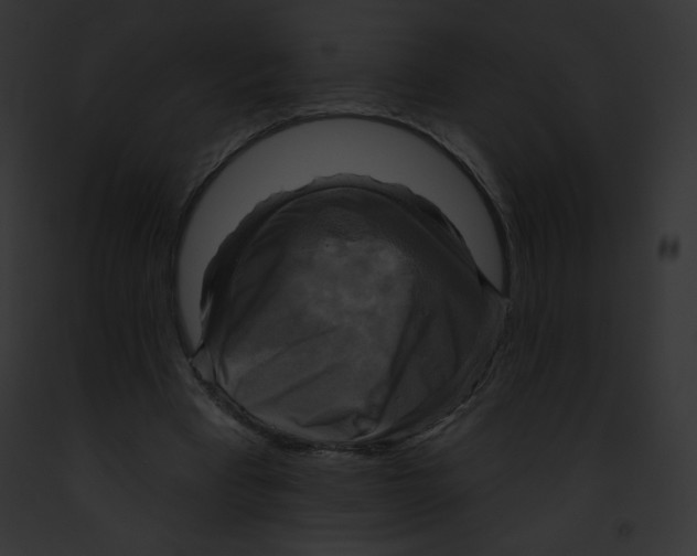 X0000091850393200710031024