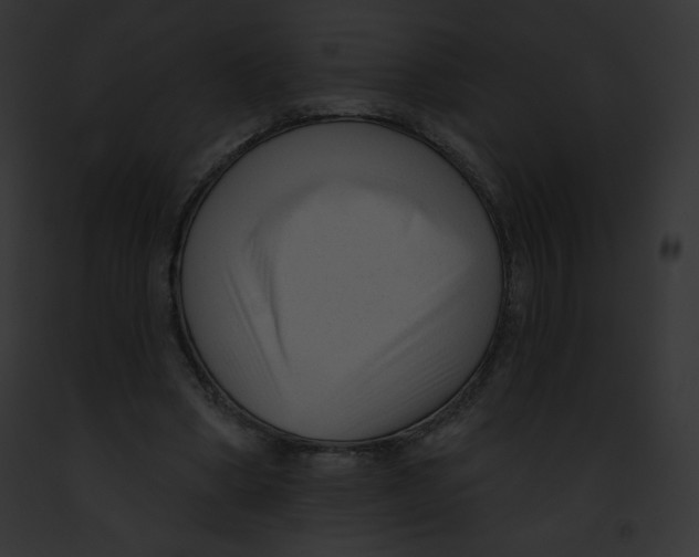 X0000091850394200710031024