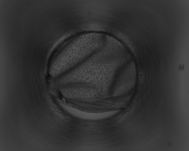 X0000091850395200710031024
