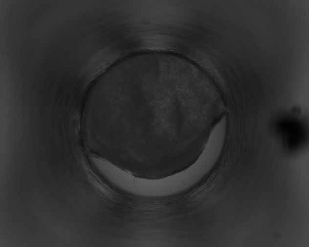 X0000091850397200710031024