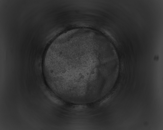 X0000091850398200710031024