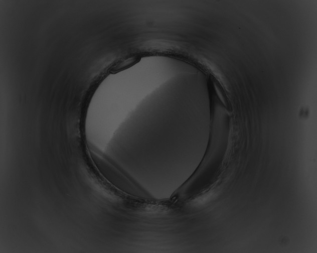 X0000091850399200710031024