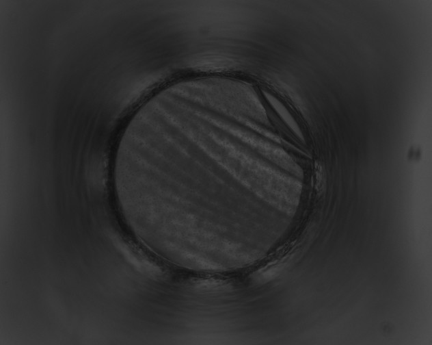 X0000091850400200710031024