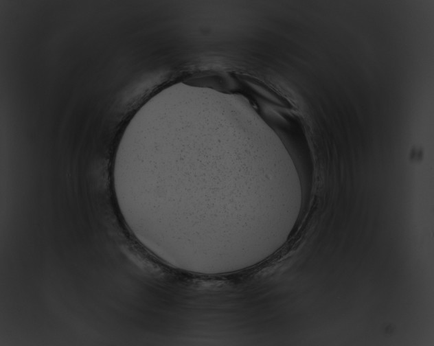 X0000091850401200710031024
