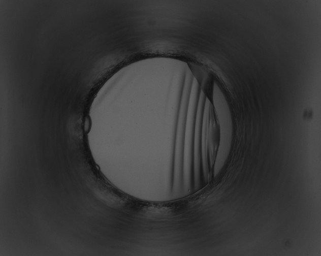 X0000091850403200710031024