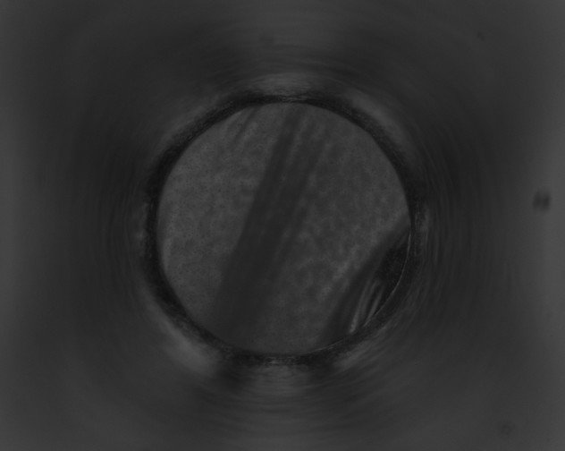 X0000091850404200710031024