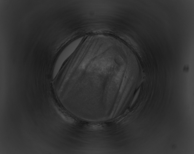 X0000091850405200710031024
