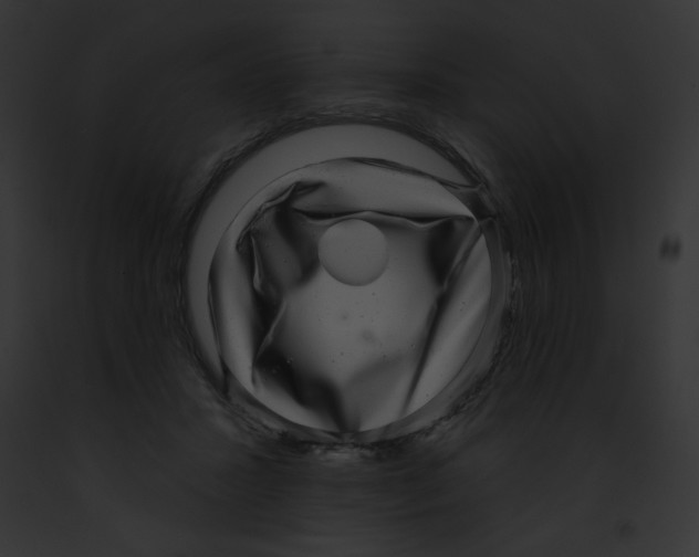 X0000091850407200710031024