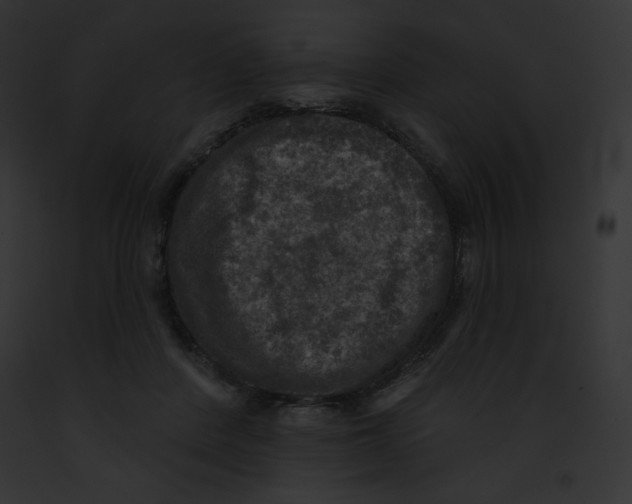 X0000091850408200710031024