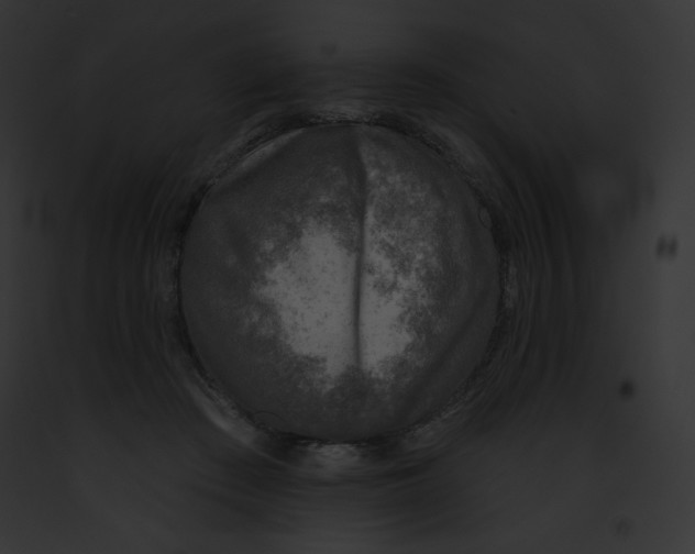 X0000091850409200710031024