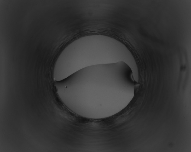 X0000091850412200710031024
