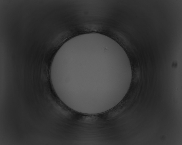 X0000091850414200710031024