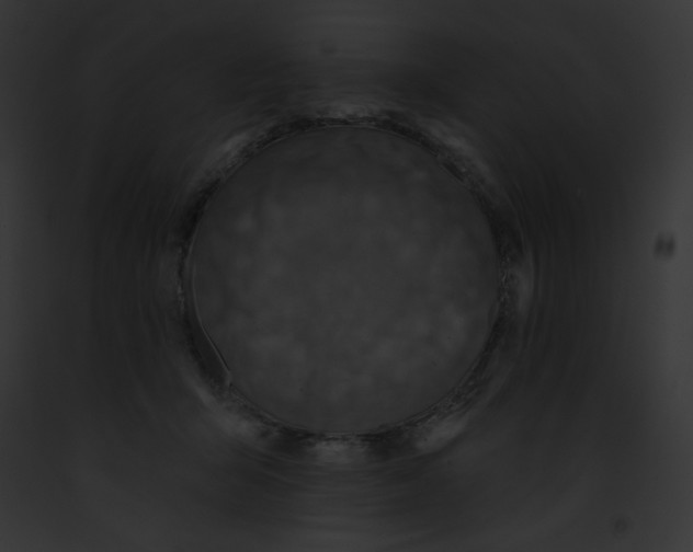 X0000091850415200710031024