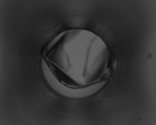 X0000091850416200710031024