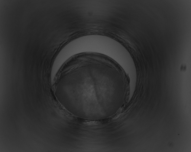 X0000091850417200710031024