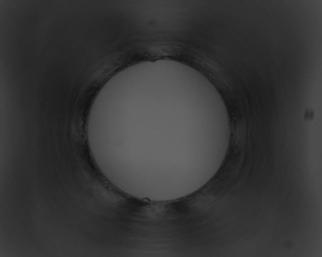 X0000091850418200710031024