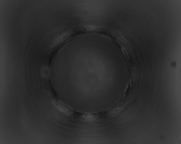 X0000091850419200710031024