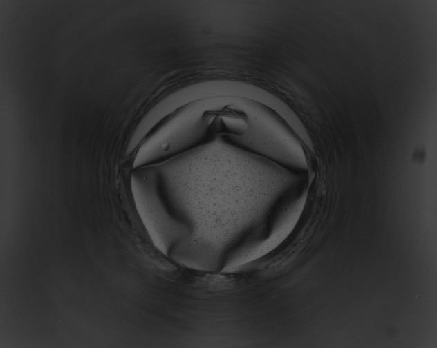 X0000091850421200710031024