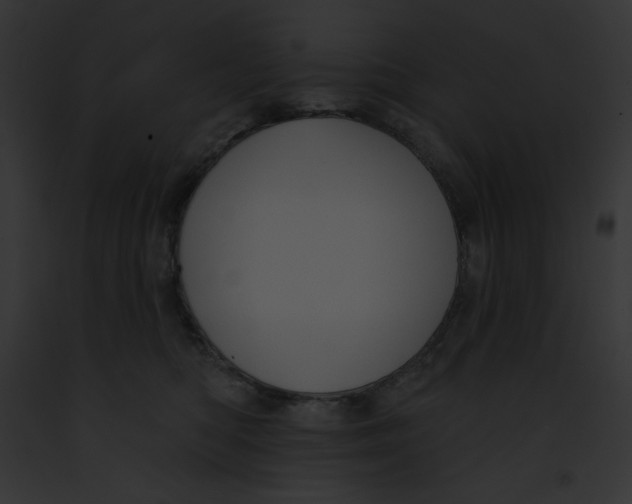 X0000091850422200710031024