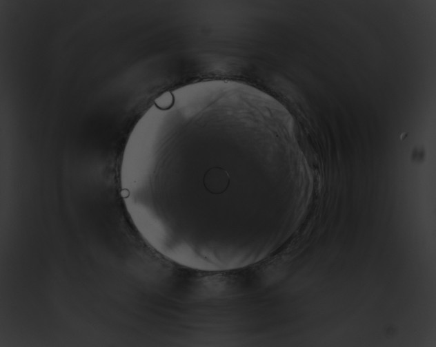 X0000091850423200710031024