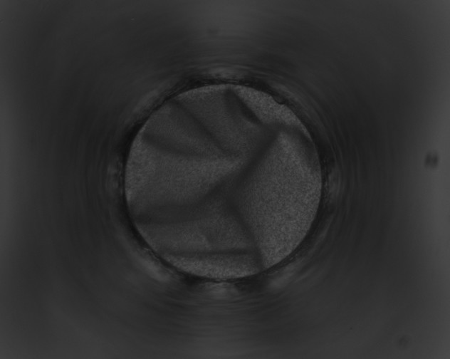 X0000091850424200710031024