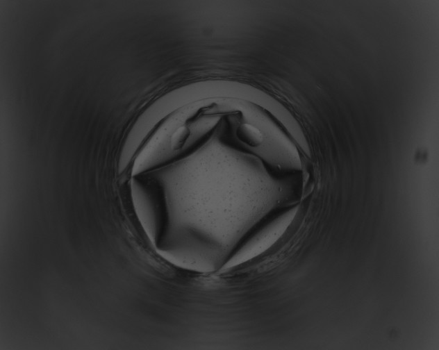 X0000091850425200710031024
