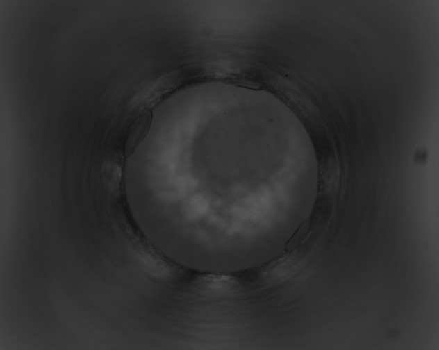X0000091850427200710031023
