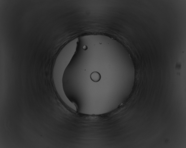 X0000091850428200710031023