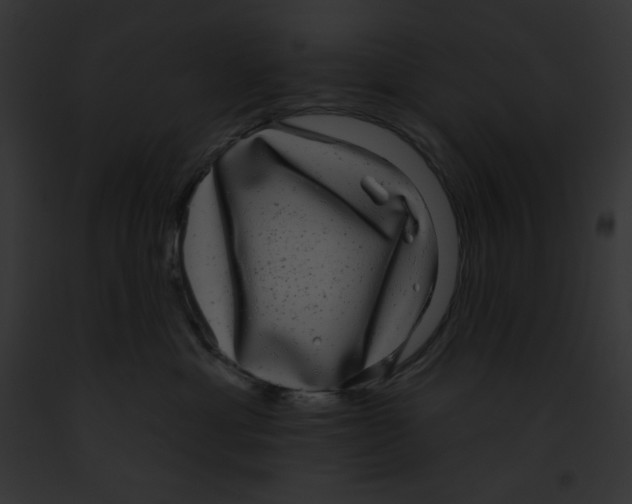X0000091850429200710031023
