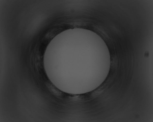 X0000091850430200710031023