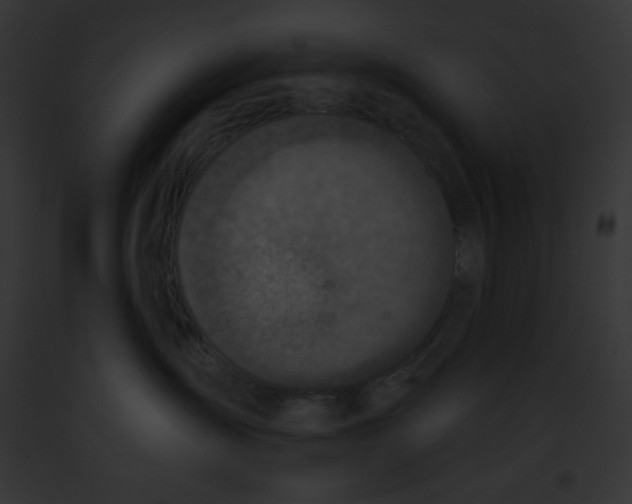 X0000091850431200710031023