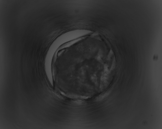 X0000091850432200710031023