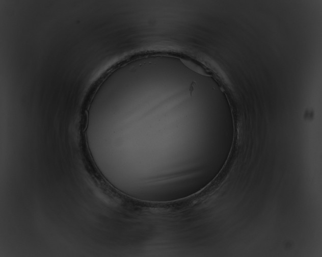 X0000091850436200710031023