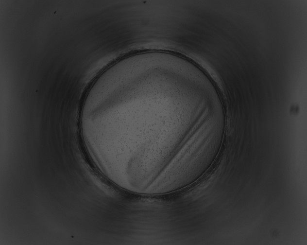 X0000091850437200710031023