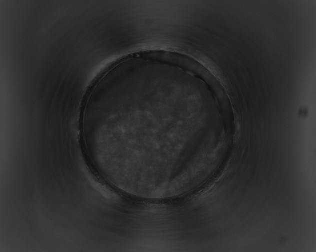 X0000091850438200710031023