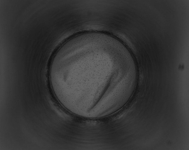 X0000091850439200710031023
