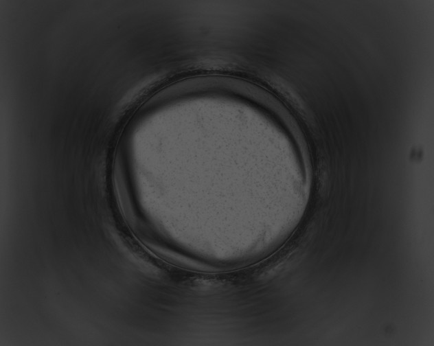 X0000091850442200710031023