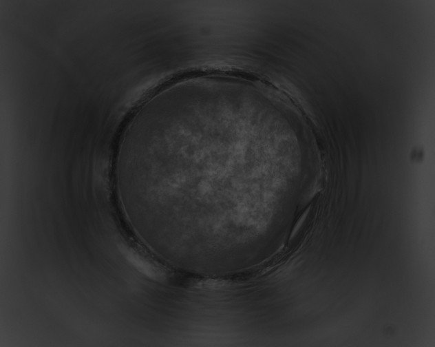 X0000091850444200710031023
