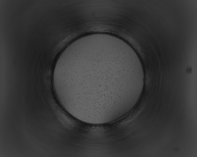 X0000091850445200710031023