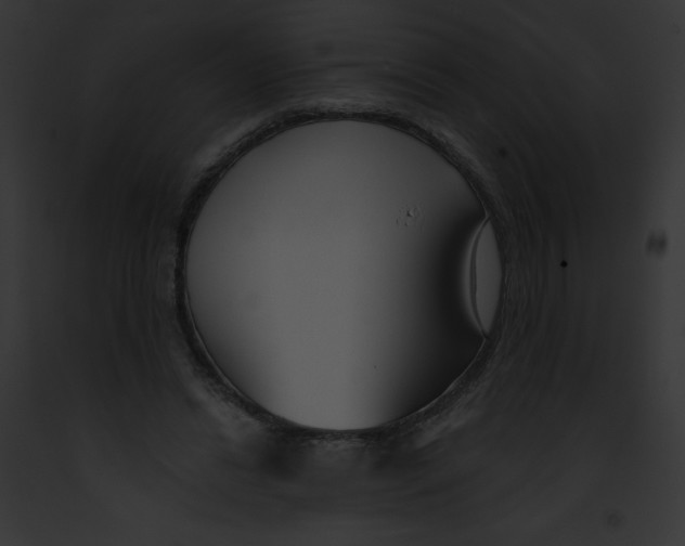 X0000091850446200710031023