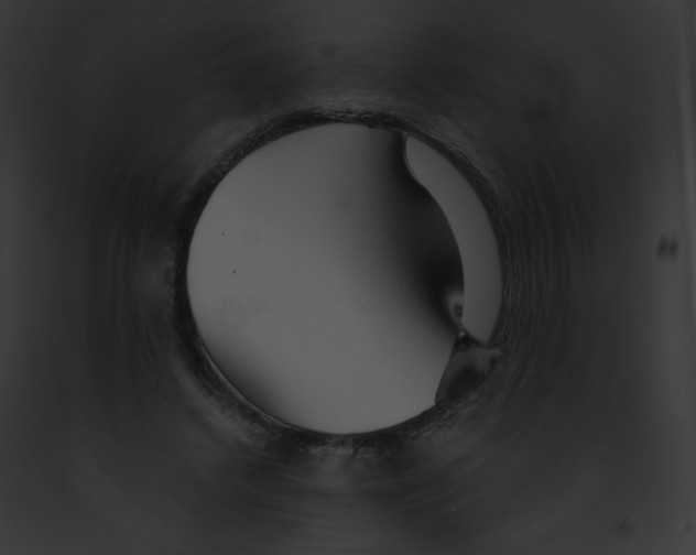 X0000091850448200710031023