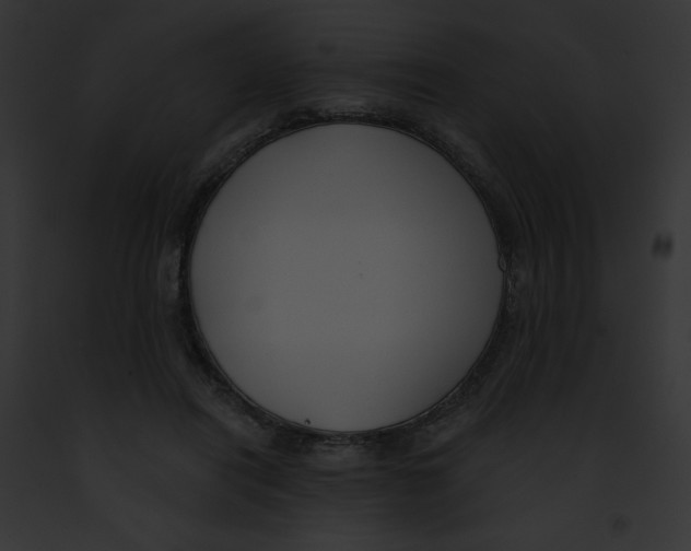 X0000091850454200710031023