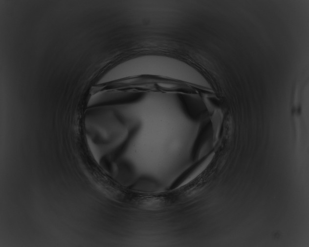 X0000091850456200710031023