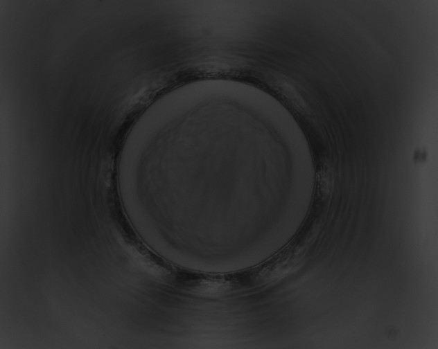 X0000091850458200710031023